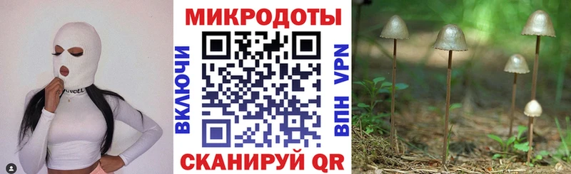 Купить закладки  Мураши  Галлюциногенные грибы мухоморы 